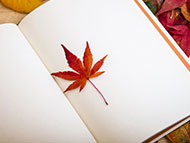 一個造紙專家十幾年使用造紙助留劑的現場筆記